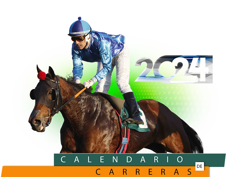 calendario 2024