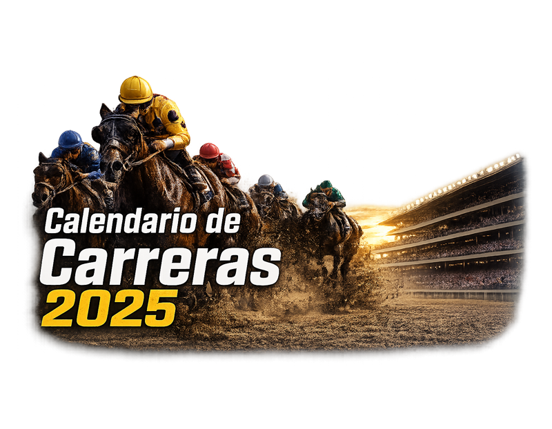 calendario 2025
